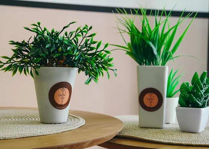 Liebe 16 Luxurious Lägenhet