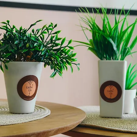 Liebe 16 Luxurious شقة